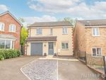 Thumbnail for sale in Bailey Crescent, Langstone