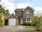 Thumbnail to rent in West Down, Great Bookham