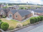 Thumbnail for sale in Hollybank, Moore, Warrington