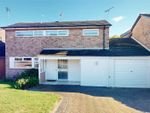 Thumbnail to rent in Gaynesford, Lee Chapel South, Basildon, Essex