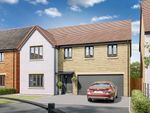 Thumbnail to rent in "The Broadhaven" at Lipwood Way, Wynyard, Billingham