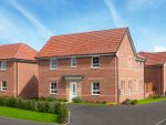 Thumbnail to rent in "Alfreton" at Broken Stone Road, Darwen