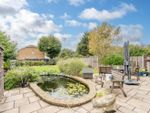 Thumbnail to rent in Grosvenor Gardens, Bognor Regis