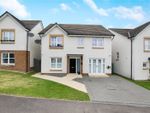 Thumbnail to rent in Adam Drive, Dundee, Angus