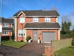 Thumbnail to rent in Newark Gate, Allanton, Shotts