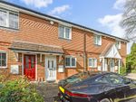 Thumbnail for sale in Belmont Drive, Four Marks, Alton, Hampshire