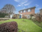 Thumbnail to rent in Elm Grove, Wivenhoe, Colchester