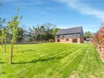Thumbnail for sale in Thorpe Farm, Marsh Lane, Winterborne Kingston, Dorset