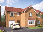 Thumbnail to rent in "Grainger" at Stoney Haggs Road, Scarborough