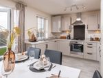 Thumbnail to rent in "Ellerton" at Woodmansey Mile, Beverley