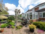 Thumbnail for sale in Pineapple Road, Amersham