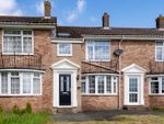Thumbnail to rent in The Dene, Uckfield