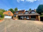 Thumbnail for sale in Lindrick Close, Borough Hill, Northamptonshire
