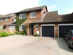 Thumbnail for sale in Whyte Close, Holbury