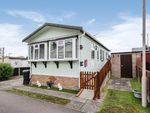 Thumbnail to rent in Bushel Lane, Soham, Ely, Cambridgeshire