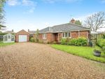 Thumbnail for sale in Bayes Court, North Walsham