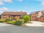 Thumbnail to rent in Pasture Close, Wistow, North Yorkshire