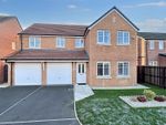 Thumbnail for sale in Waterville Grove, Ashington