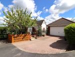 Thumbnail for sale in Cleave Road, Sticklepath, Barnstaple