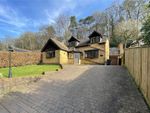 Thumbnail to rent in Beech Hill, Headley Down, Hampshire