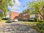 Thumbnail to rent in Lemsford Road, St Albans, Hertfordshire