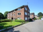 Thumbnail to rent in The Chestnuts, Horley