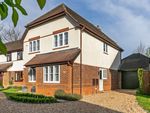 Thumbnail for sale in Nightingale Close, Winchester