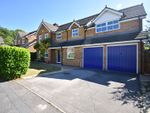 Thumbnail to rent in Belvedere Gardens, Chineham, Basingstoke