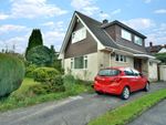 Thumbnail to rent in Yew Tree Close, Wimborne