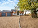 Thumbnail to rent in Mere Farm, Stow Bedon, Attleborough, Norfolk