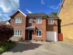 Thumbnail to rent in Lyon Oaks, Warfield, Berkshire