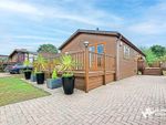 Thumbnail to rent in Seaview Avenue, West Mersea