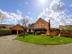 Thumbnail for sale in Bourne Court, Hilderstone
