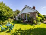 Thumbnail for sale in Stone Close, Worthing
