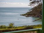 Thumbnail to rent in Caswell Bay Court, Caswell, Swansea