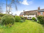 Thumbnail for sale in West Stratton Lane, West Stratton, Winchester, Hampshire