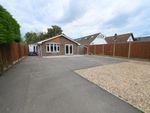 Thumbnail to rent in Sefter Road, Pagham, Bognor Regis