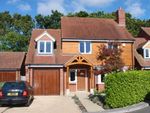 Thumbnail to rent in Belmont Drive, Lymington