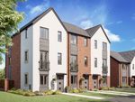 Thumbnail to rent in "The Ashdown" at Oxleaze Reen Road, Newport