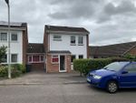 Thumbnail to rent in Florida Drive, Exeter