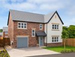 Thumbnail to rent in "Lawson" at Beaumont Hill, Darlington