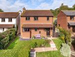 Thumbnail for sale in Dukes Close, Otterton, Budleigh Salterton, Devon