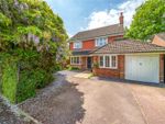Thumbnail to rent in Wilson Drive, Ottershaw