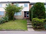 Thumbnail to rent in Hamlet Drive, Colchester, Essex