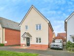 Thumbnail to rent in Sealion Approach, Stanway, Colchester