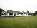 Thumbnail to rent in Newcastle Road, Ballynahinch
