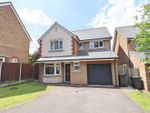 Thumbnail to rent in Guinea Close, Braintree
