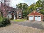 Thumbnail for sale in Meiros Way, Ashington, West Sussex