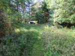 Thumbnail for sale in Land At Skiach Bank, Drummond Road, Evanton