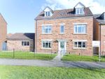 Thumbnail for sale in Meadowsweet Road, Hartlepool